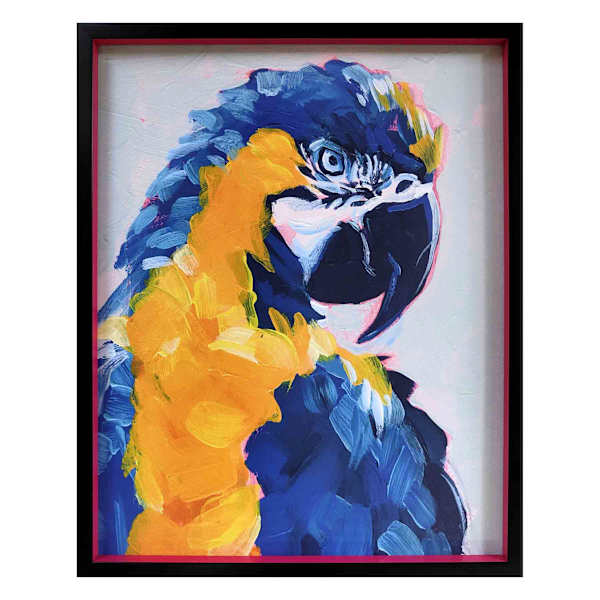 Glass Framed Parrot Wall Art, 17x21