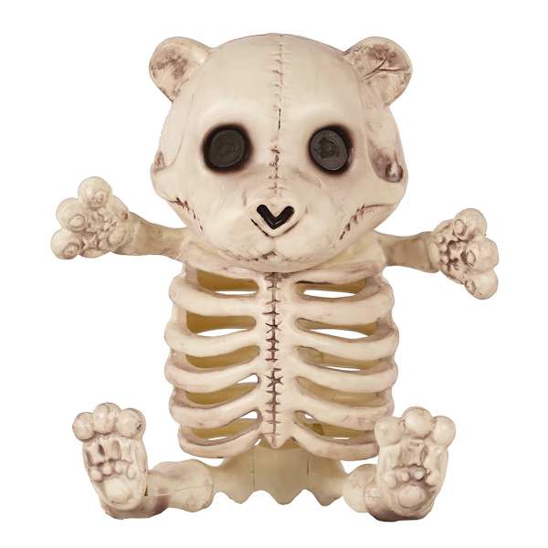 Teddy Bone Bear Skeleton with Wash, Large