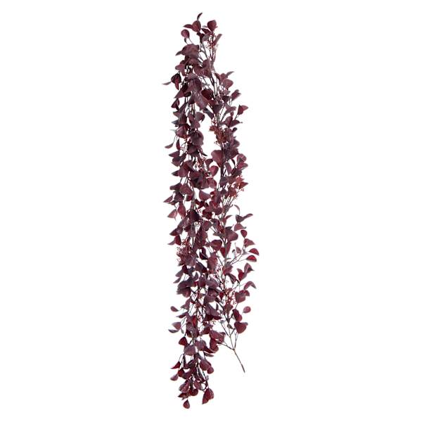 Honeybloom Eucalyptus Garland with Seed, 72"