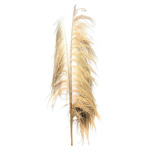 Crosby St. 3-Piece Natural Uva Stalk Bunch