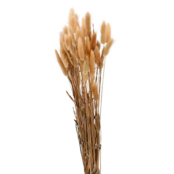 Yellow Bunny Tails Bunch, 24"