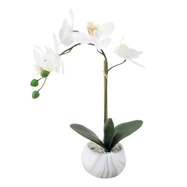 White Real Touch Orchid in Cement Pot, 13.5"