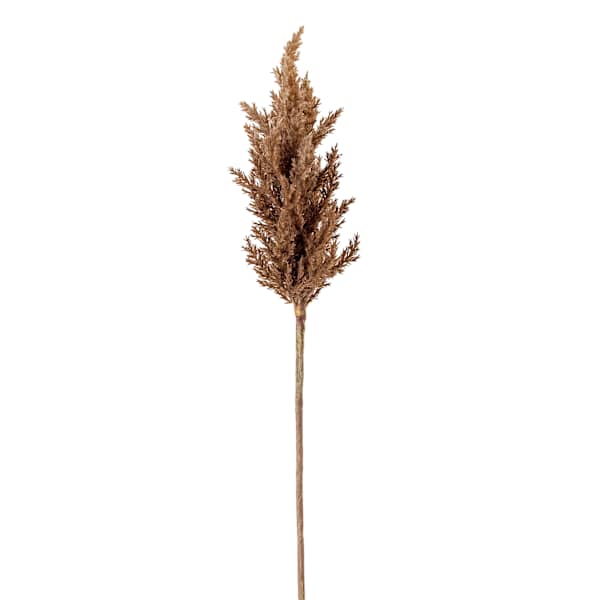 Brown Astilbe Stem, 36"