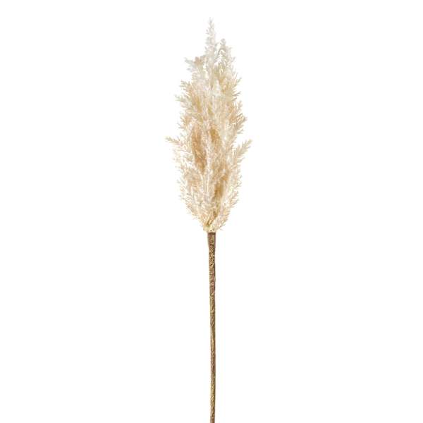 Cream Astilbe Stem, 36"