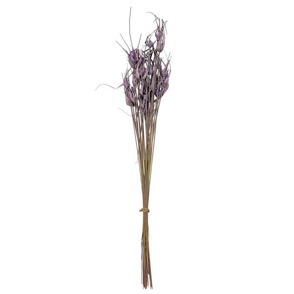 Lavender Star Grass Bundle, 30"