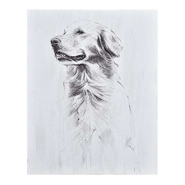 Providence Dog Canvas Wall Art, 11x14