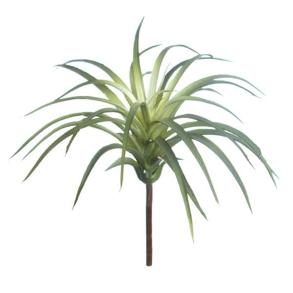 Tillandsia Pick, 7"