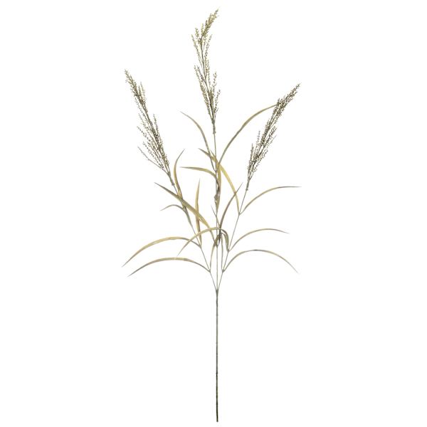 Green Dried Heather Spray, 33"