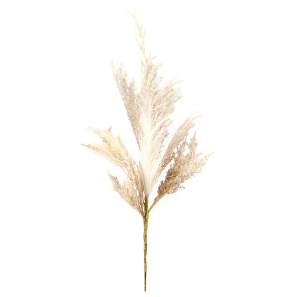 Cream Pampas Grass Bundle, 20"