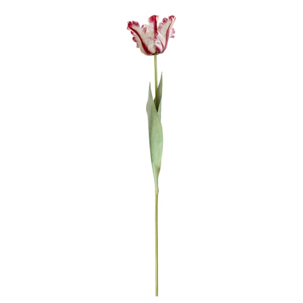 Willow Crossley Red Soft Tulip Floral Pick, 27"