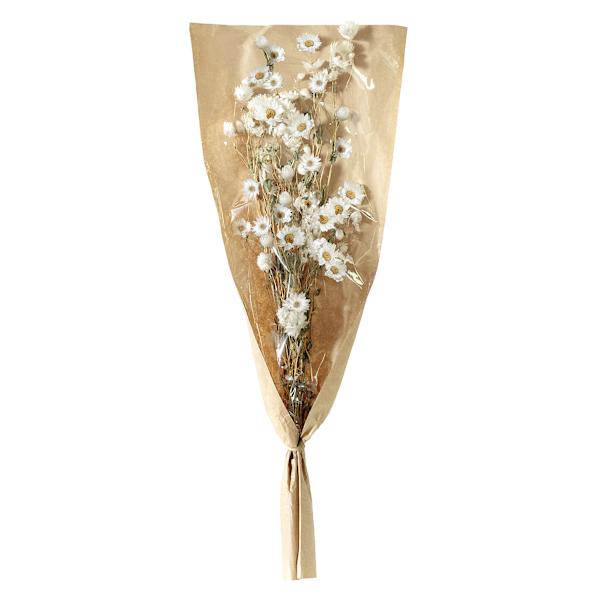 Willow Crossley White Daisy Bundle, 19.5"