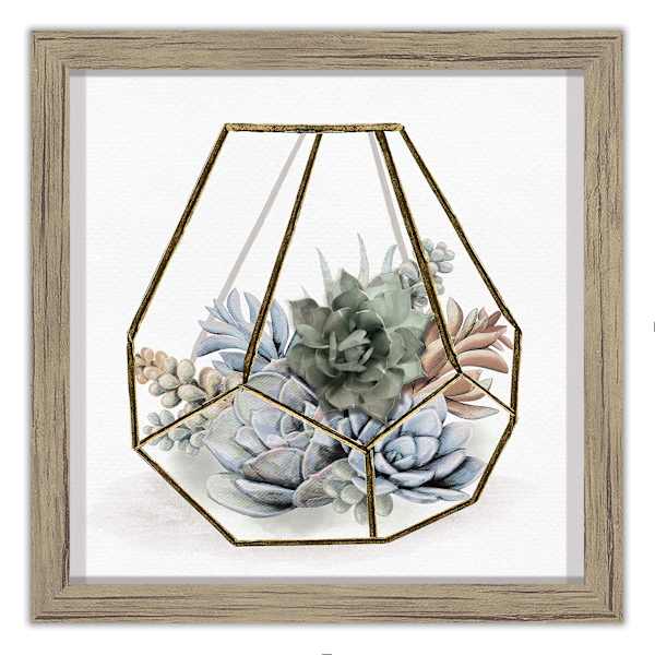 Glass Framed Succulent Print Wall Art, 10"
