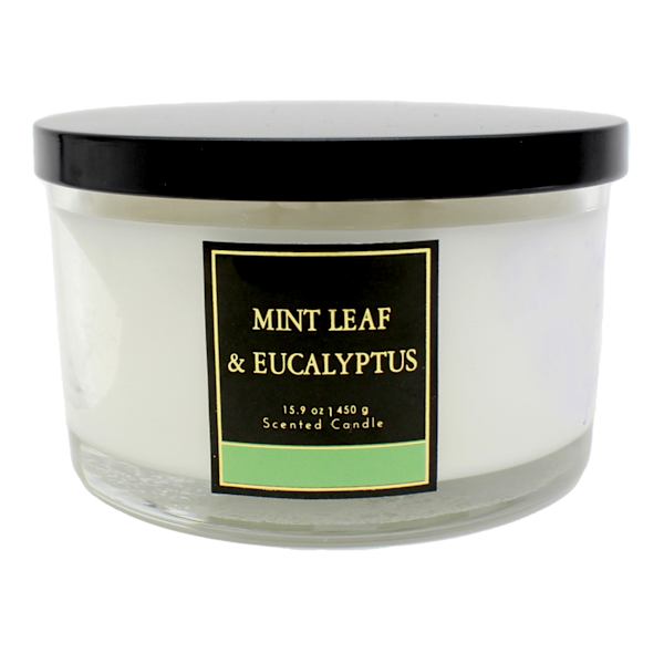 Mint Leaf & Eucalyptus Scented Jar Candle, 15.9oz