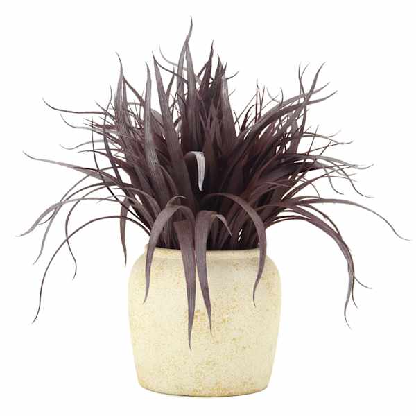 Honeybloom Grass Bundle in Cement Vessel, 11"