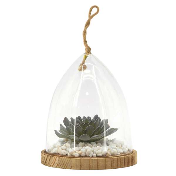 Ty Pennington Succulent in Glass Vessel with Wood Base, 6.5"