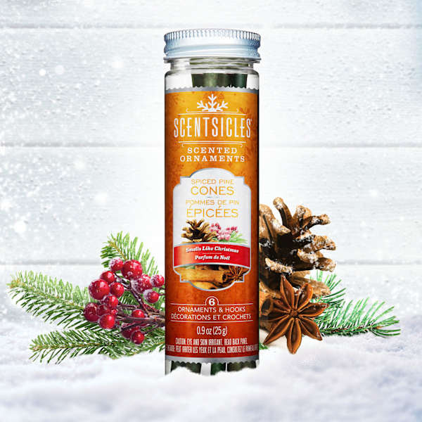 Scentsicles 6-Count Spiced Pinecones Scented Ornament Sticks
