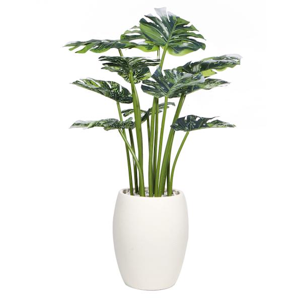 Found & Fable Monstera Plant in Cement Pot, 37.5"