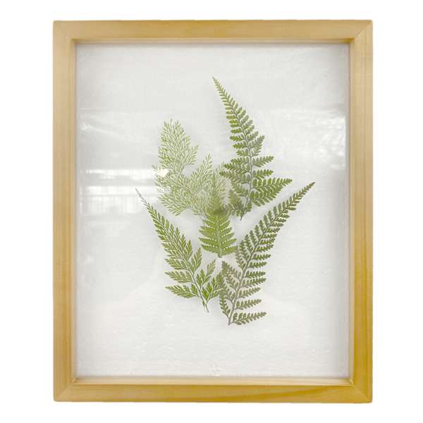 Honeybloom Glass Framed Botanical Wall Art, 10x12
