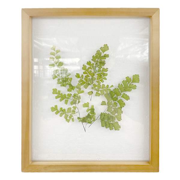 Honeybloom Glass Framed Botanical Wall Art, 10x12
