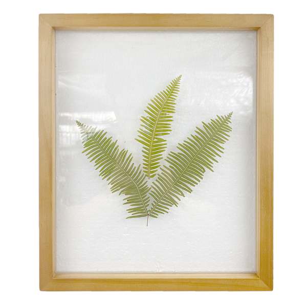 Honeybloom Glass Framed Botanical Wall Art, 10x12