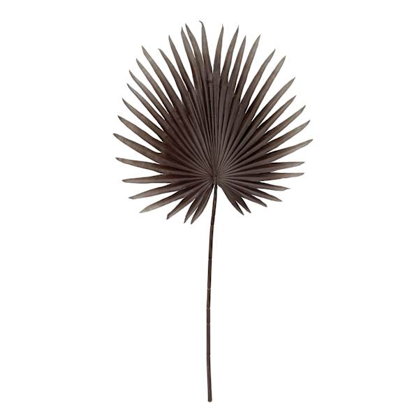 Tracey Boyd Dark Coffee Fan Palm Stem, 35"