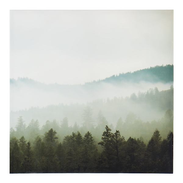 Ty Pennington Forest Canvas Wall Art, 24"