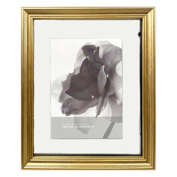 Gold Ornate Floating Wall Frame, 8x10