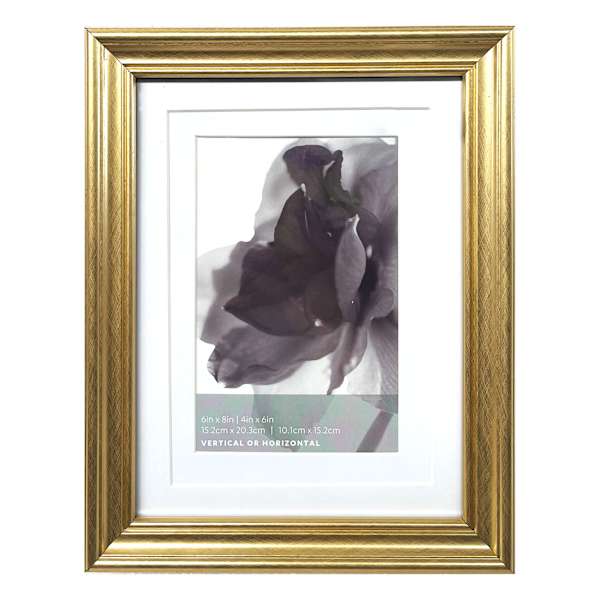 6x8 Gold Ornate Matted to 4x6 Wall Frame
