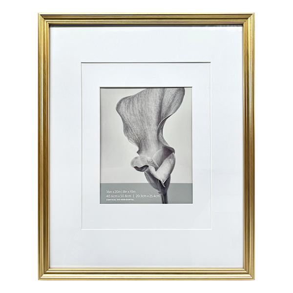 16x20 Gold Ornate Matted to 8x10 Wall Frame