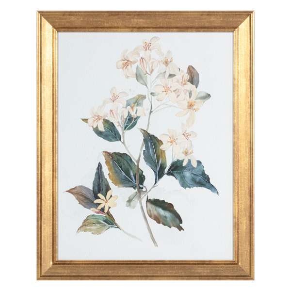 Providence Glass Framed Floral Print Wall Art, 16x20