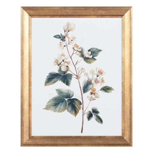Providence Glass Framed Floral Print Wall Art, 16x20