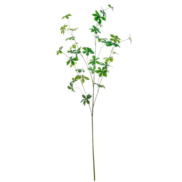 Willow Crossley Hanging Greenery Leaf Stem, 40"
