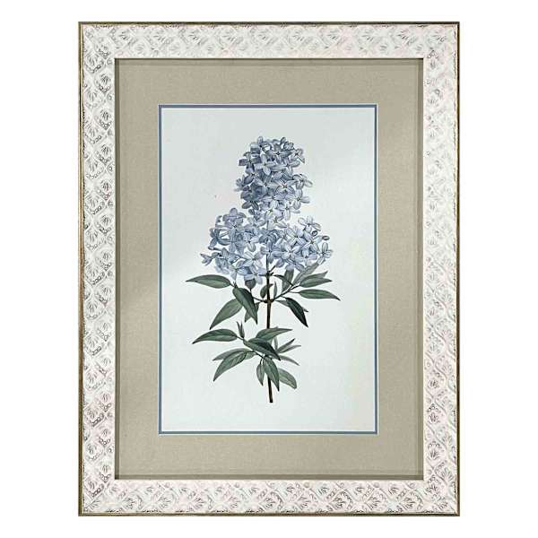 Found & Fable Glass Framed Floral Print Wall Art, 14x18