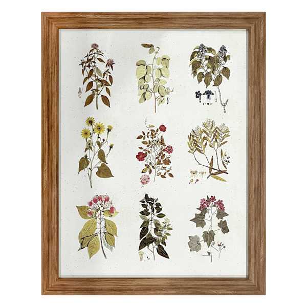 Honeybloom Glass Framed Floral Print Wall Art, 21x27