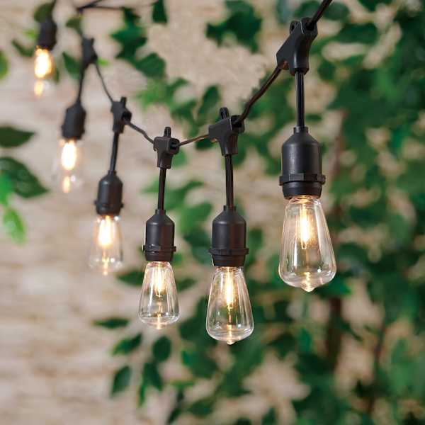 Soft light edison bulb top
