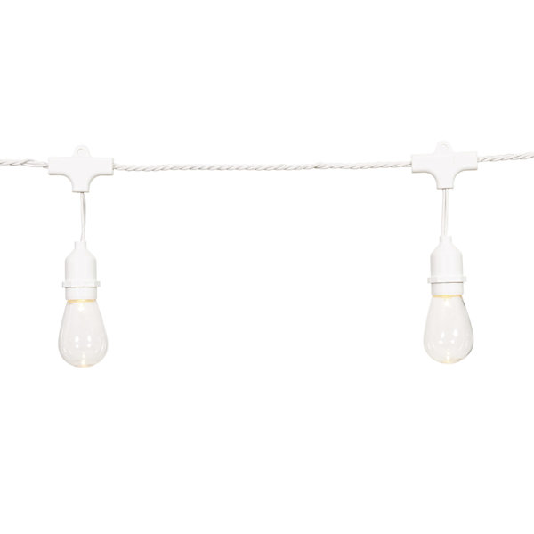 15-Count LED Edison String Lights with White Commercial Wire