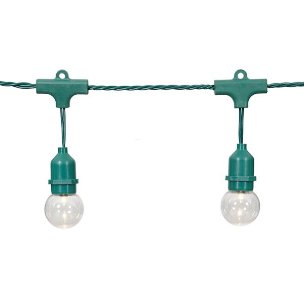 15-Count LED G40 Globe String Lights with Green Commercial Wire