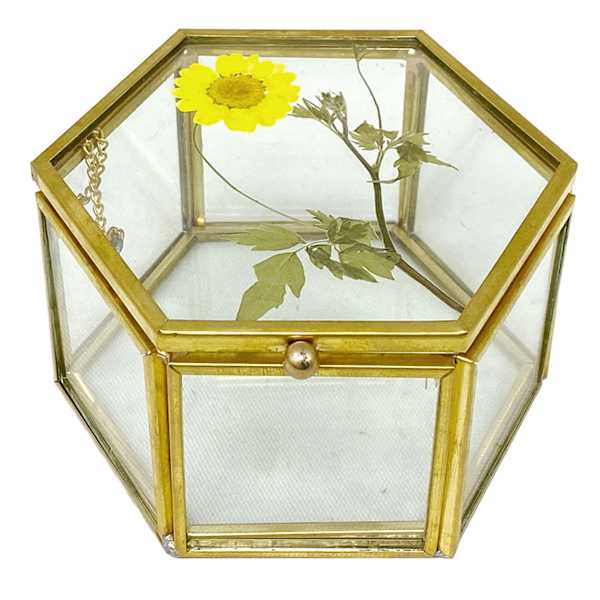 Honeybloom Wildflowers Glass Box