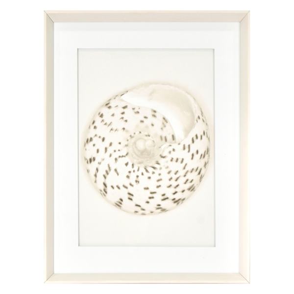 Ty Pennington Glass Framed Pebble Print Wall Art, 17x21