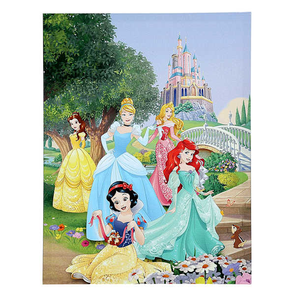 Disney Princess Canvas Wall Art, 11x14