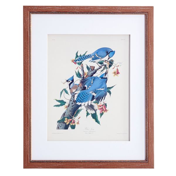 Providence Glass Framed Blue Jay Print Wall Art, 25"