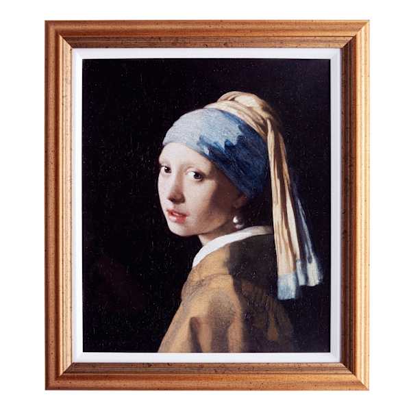 Glass Framed Girl with A Pearl Earring Print Wall Art, 17x20
