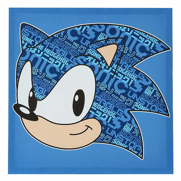 Sonic Canvas Wall Art, 12"