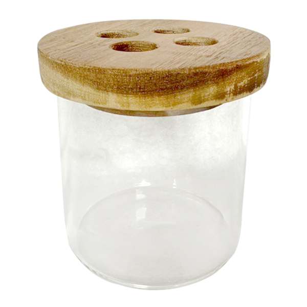 Honeybloom Howell Acacia Wood & Glass Toothbrush Holder