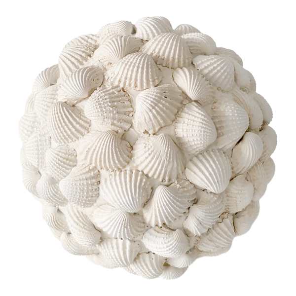 White Shell Decorative Orb, 4.9"