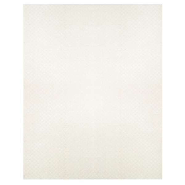 (B866) Honeybloom Ada Almond & White Checkered Washable Area Rug, 8x10
