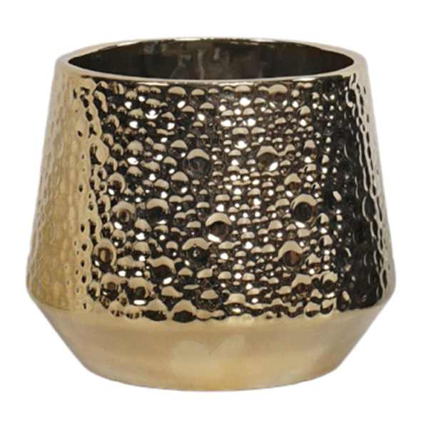 Indoor Ari Shiny Gold Pot, Small