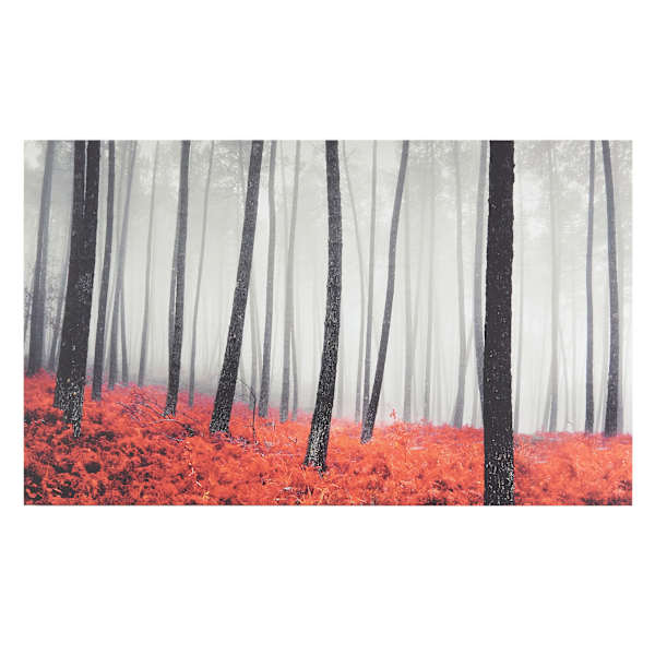 Autumn Woods Canvas Wall Art, 60x36