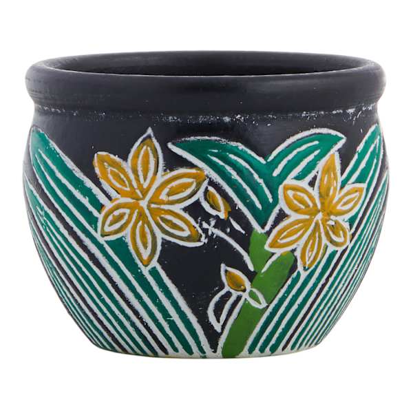 Indoor Thai Yellow Lily Clay Pot, Medium
