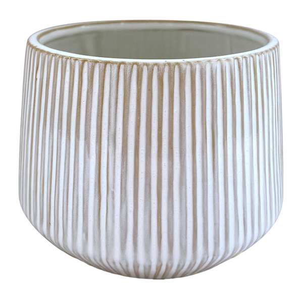 Indoor Ivory Lines Ceramic Planter, 5x4